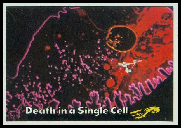 80 Death in a Single Cell
